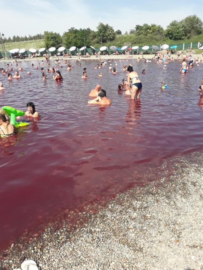 Backi Raj Villa Gornja Rogatica Bagian luar foto